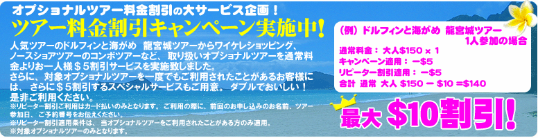 Hawaii ハワイ オプショナルツアー イルカツアー