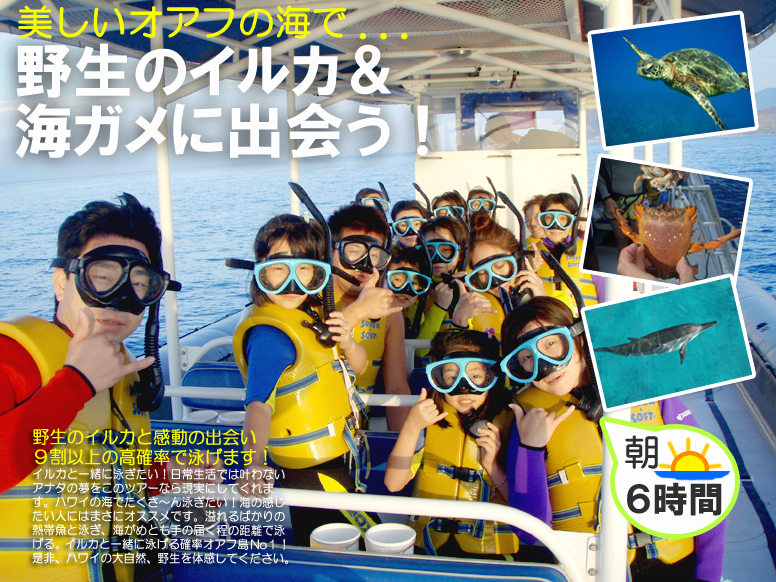 Hawaii ハワイ オプショナルツアー イルカツアー